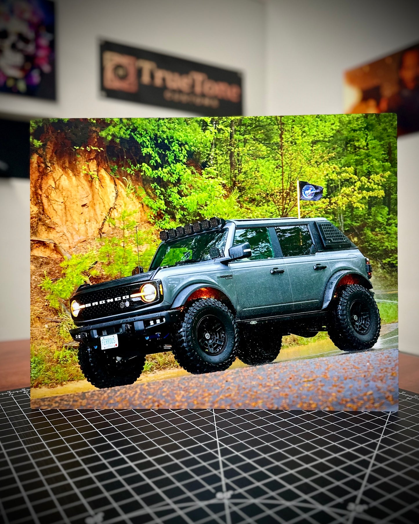 Custom HD Metal Print – Ultra Vivid Custom Photo Wall Display