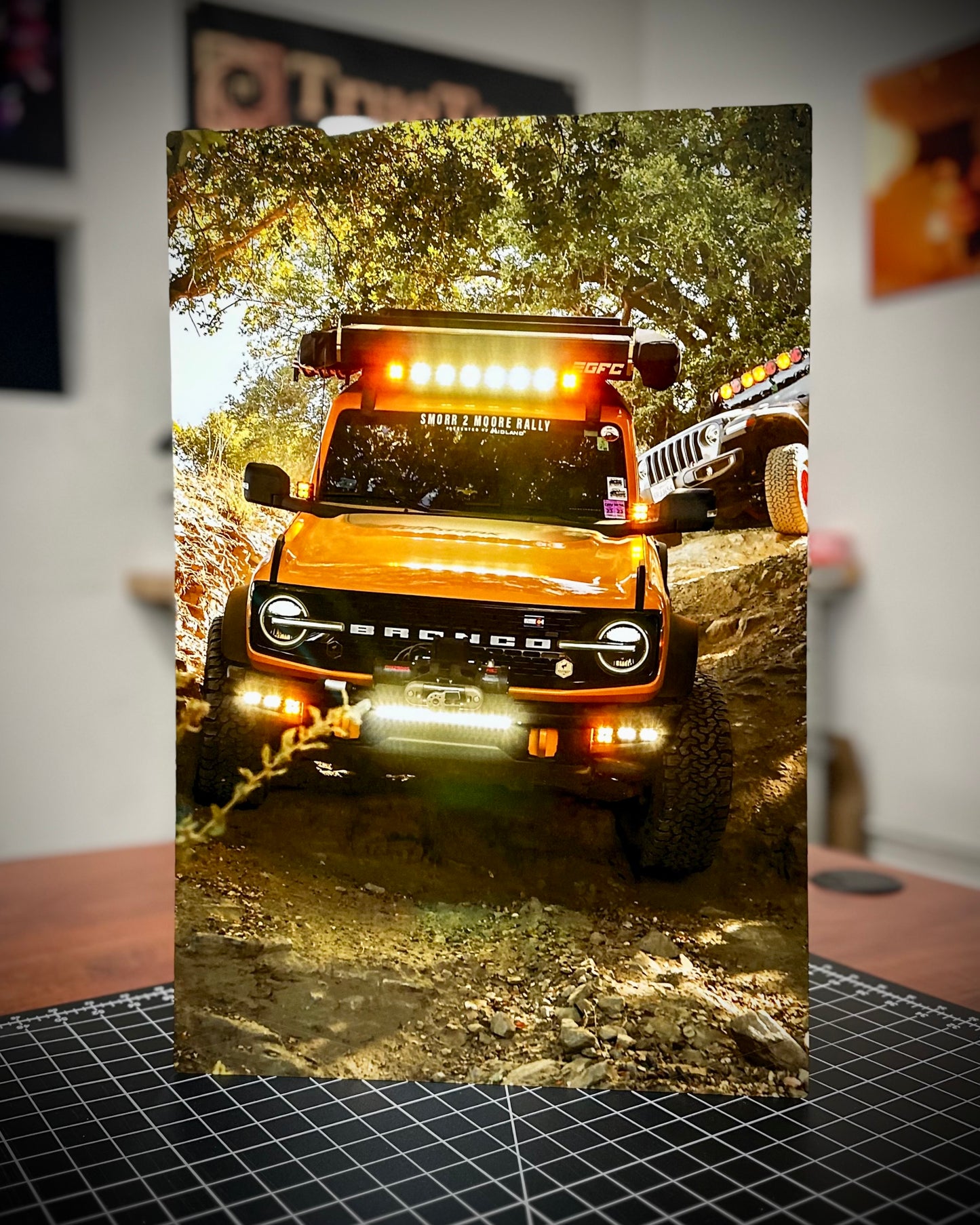 Custom HD Metal Print – Ultra Vivid Custom Photo Wall Display